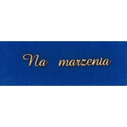 Na marzenia  , napis długość : 11cm x h-1,5cm  / skarbonka
